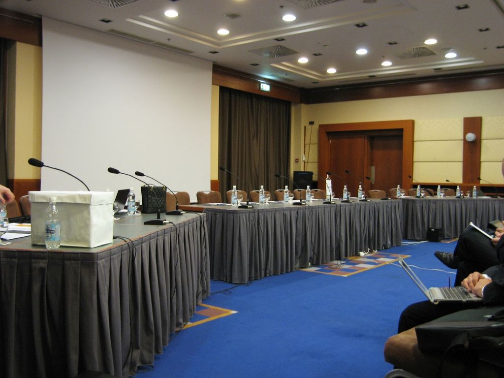 Синхронный перевод в отеле Radisson BLU. Подготовка конференции.